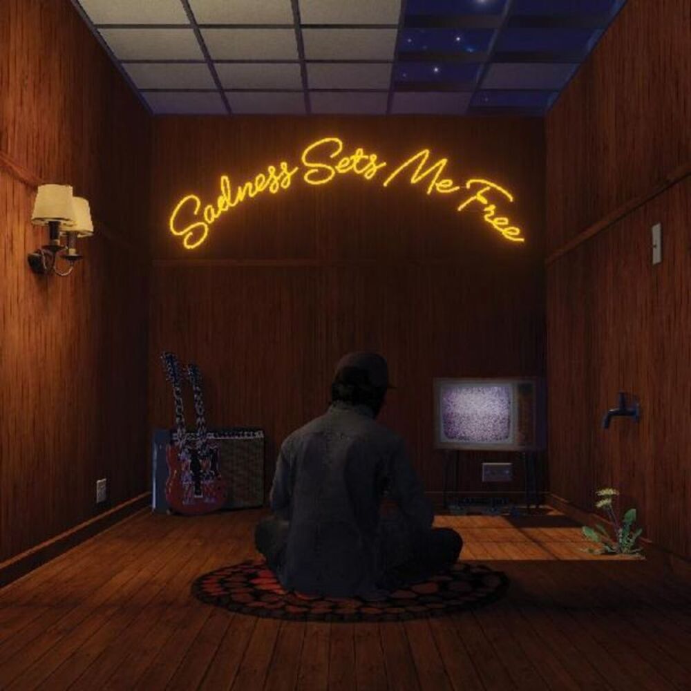 Gruff Rhys - Sadness Sets Me Free  LP LP